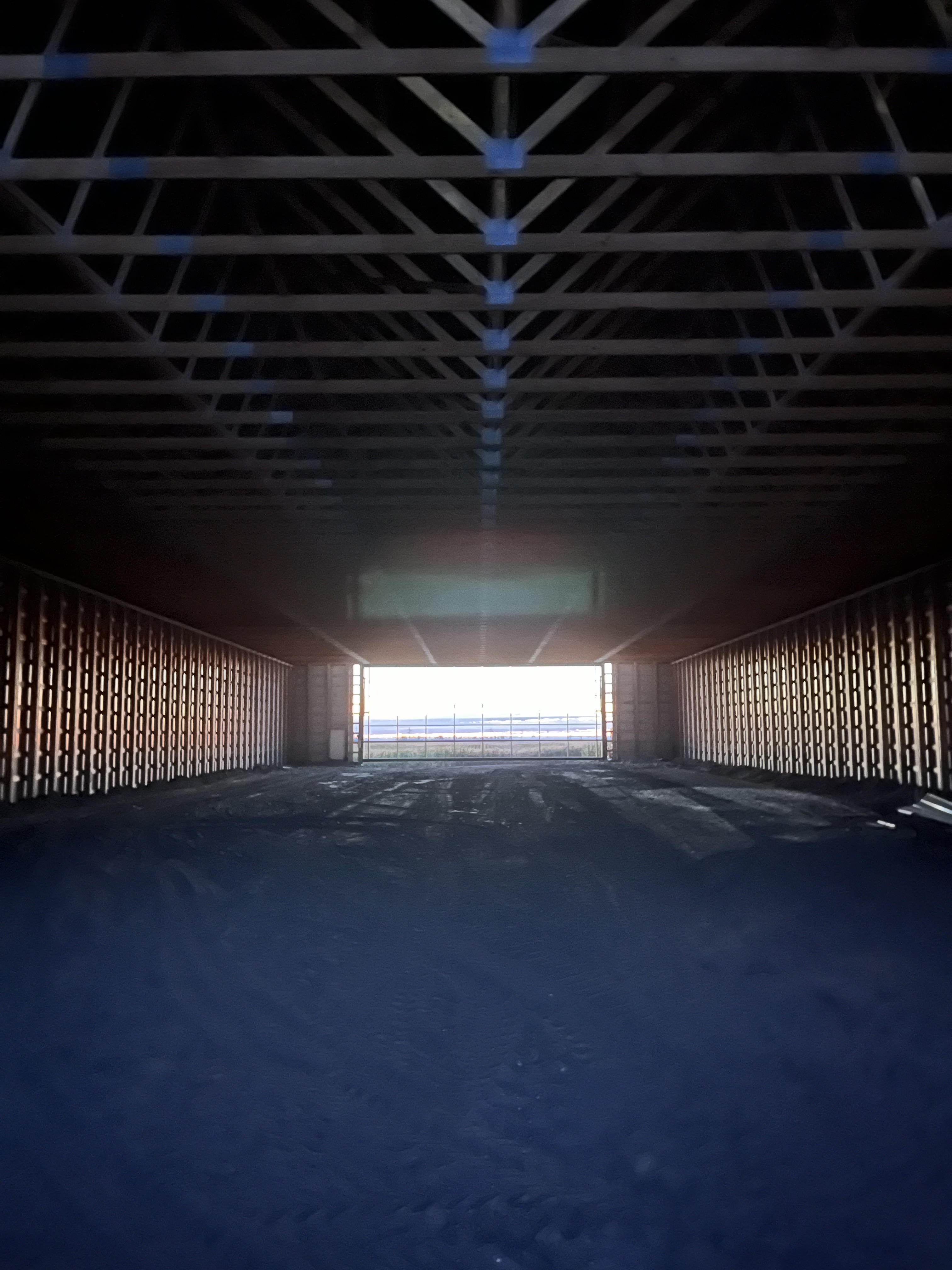 Brendemuhl Brothers build — project 18